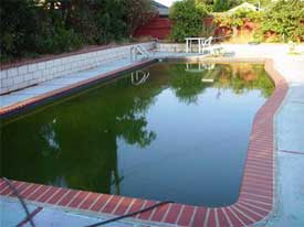 Stewart's Pool Plastering and Service